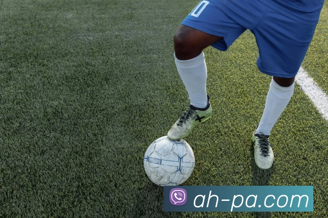 PA真人官网平台生态图