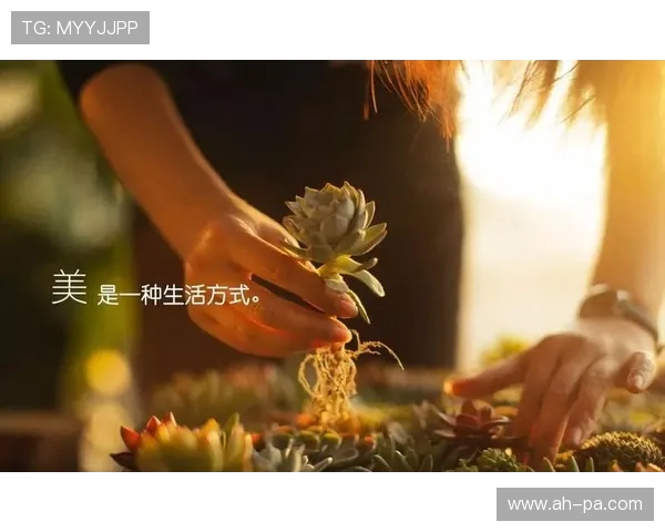 30岁后开始玩游戏的好处与心态调整助力生活品质提升